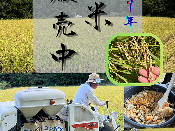新米　完売！の画像